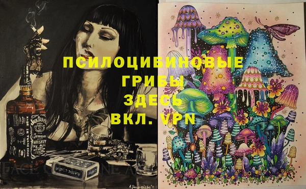 МДПВ Краснослободск