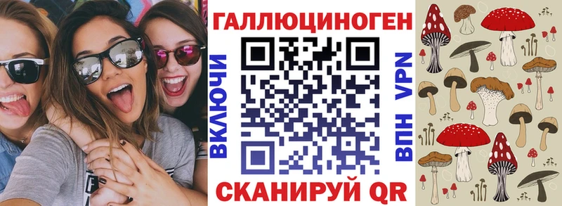 Купить где  Кинель  Псилоцибиновые грибы Magic Shrooms 