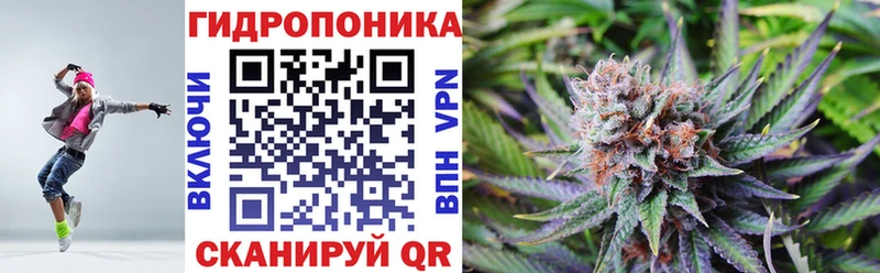 Купить  Кинель  МАРИХУАНА Ganja 